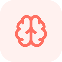 brain